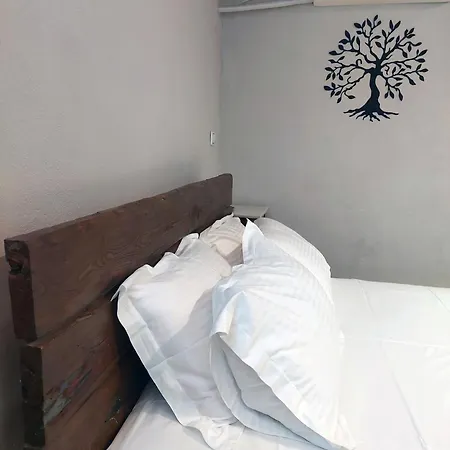 The Cocoon And Olives Hut