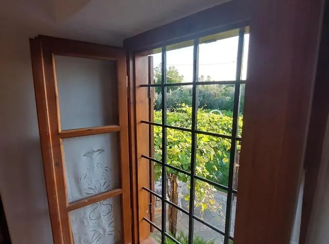 The Cocoon And Olives Hut * كوروبي