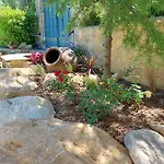 The Cocoon And Olives Hut *