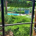 The Cocoon And Olives Hut فيلة