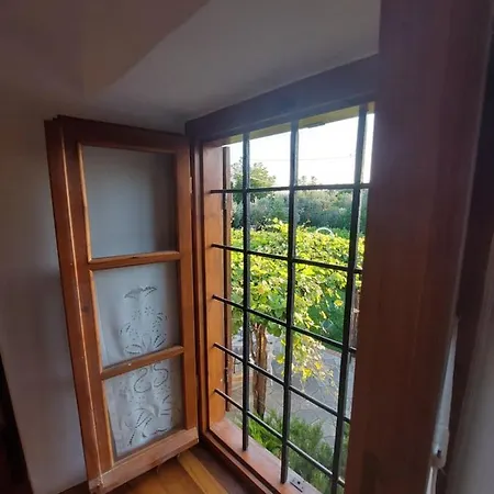 The Cocoon And Olives Hut * Koropi