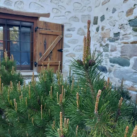 The Cocoon And Olives Hut