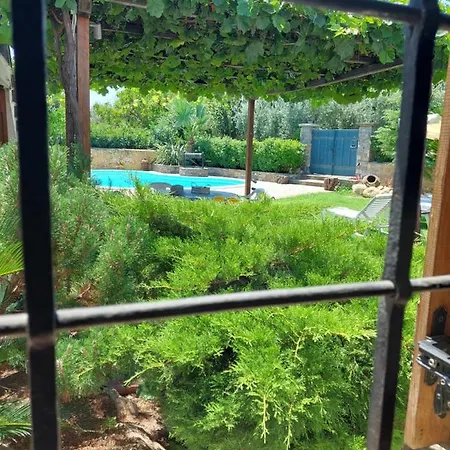 The Cocoon And Olives Hut Vilă