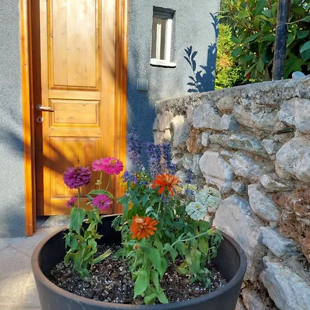 Vila The Cocoon And Olives Hut