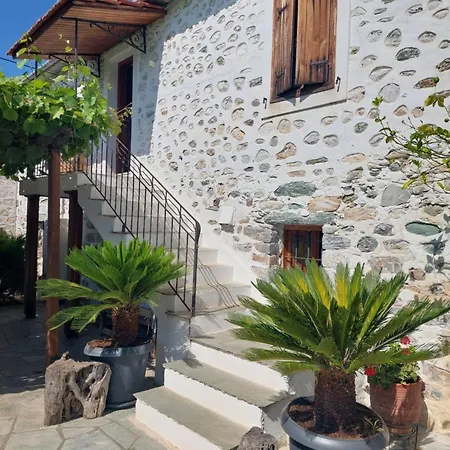The Cocoon And Olives Hut Villa