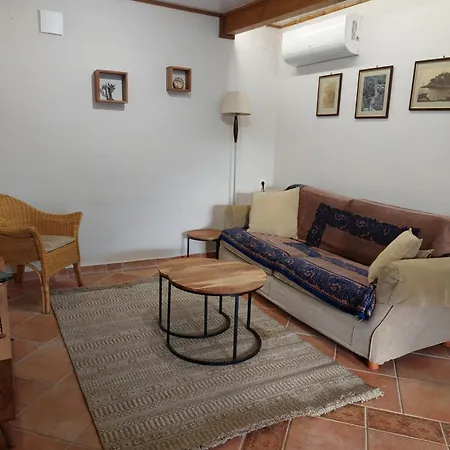 The Cocoon And Olives Hut 코로피