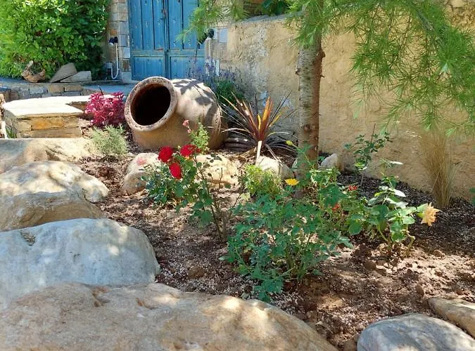 The Cocoon And Olives Hut *