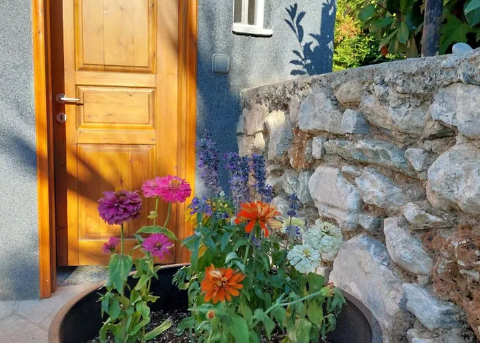 别墅 The Cocoon And Olives Hut