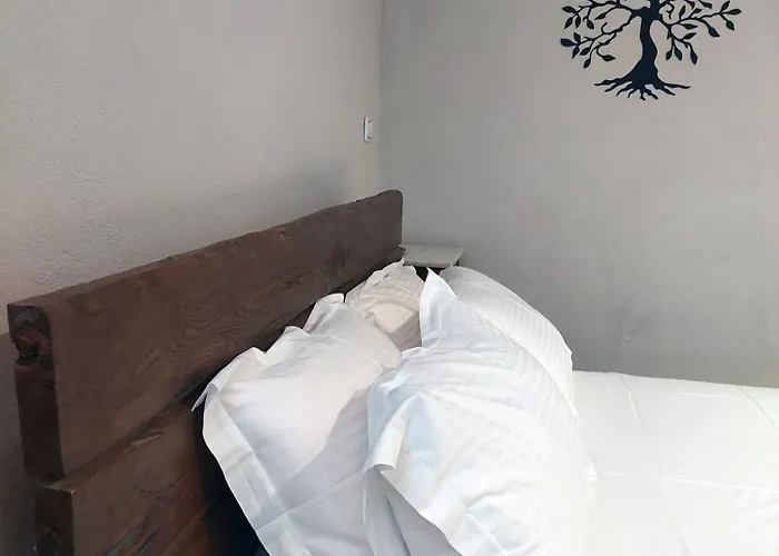 The Cocoon And Olives Hut